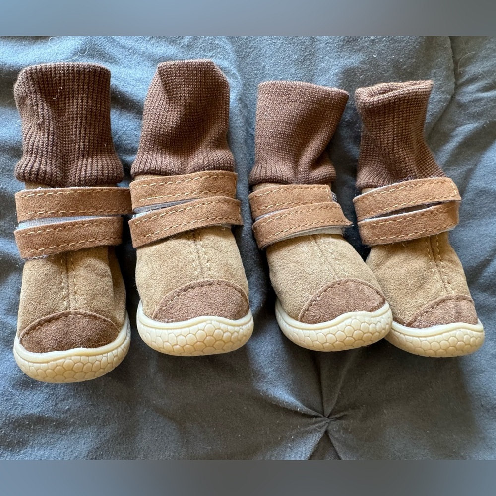Dog Boots